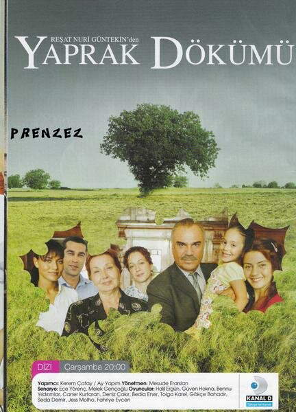 Листопад 2010 постер